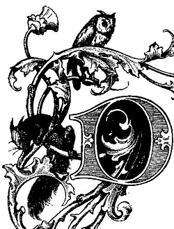 Eule
