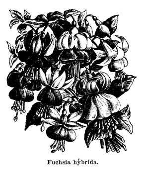 019