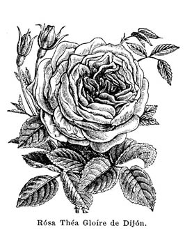 045