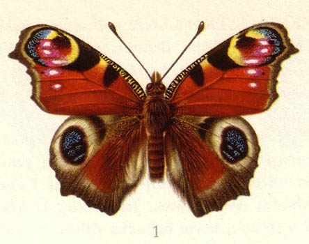 048