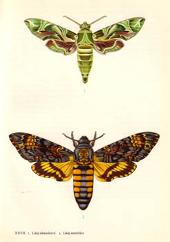052