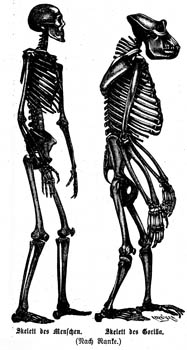 053