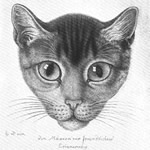 Bücher für Katzenliebhaber